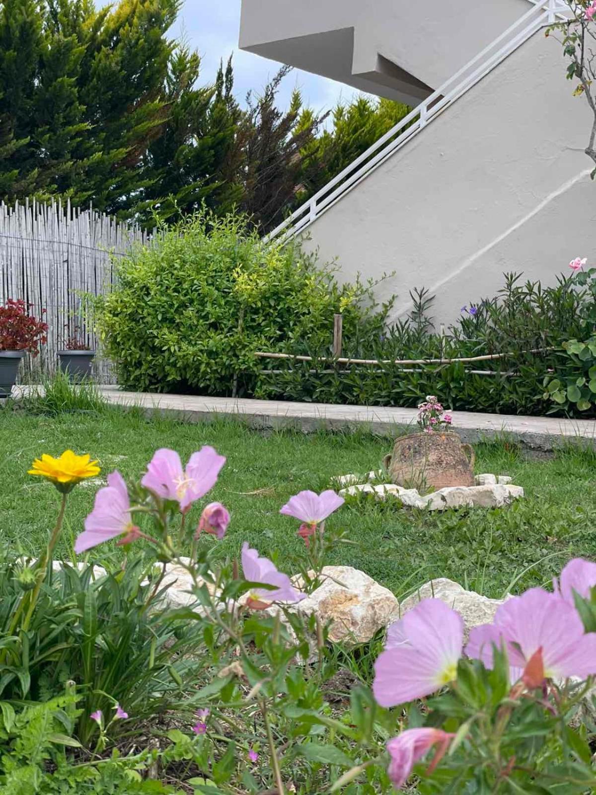 Aspasia Apartments Sidari  Zewnętrze zdjęcie